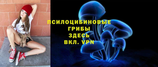 винт Алексин