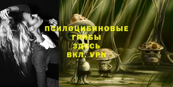 a pvp Алексеевка